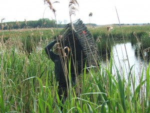 Eine Falle zu setzen bedeutet großen Aufwand (Foto: A. Schmitz)